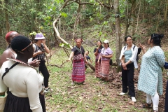 A walk through the community forest where the participants from W4B learnt a great deal about their history, stories, mapping process and conservation efforts