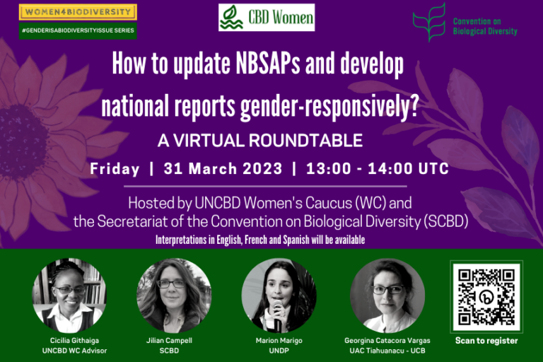 Event: How to update NBSAPs and develop National reports gender ...