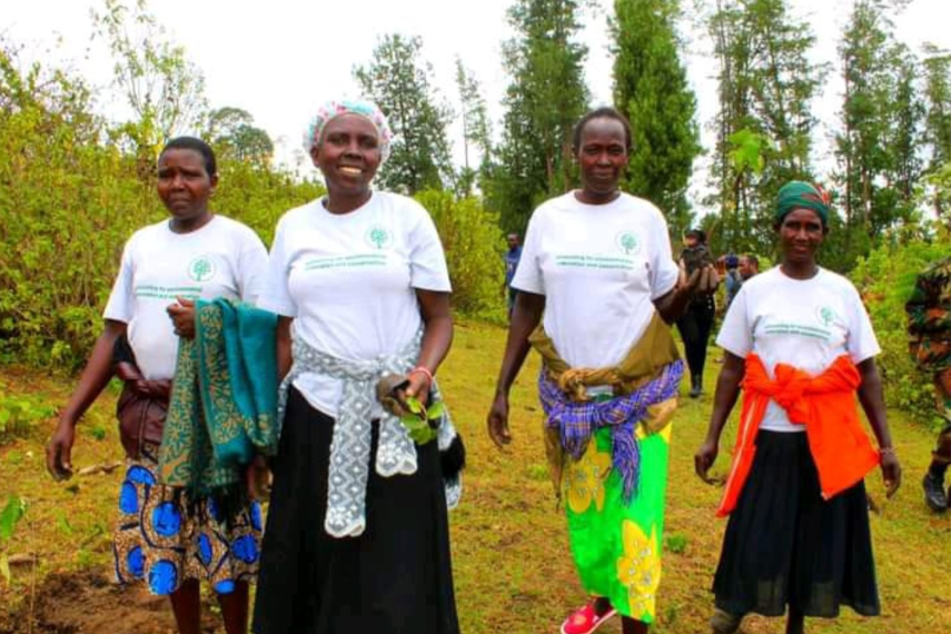mid threats like forceful eviction, Sengwer Berur women lead the tree planting in Kabolet Forest in Kenya.