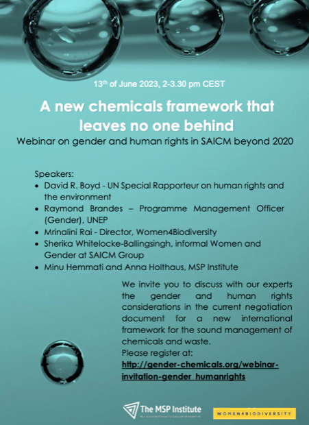 Flyer for webinar on SAICM