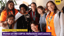 COP-reflections COP-reflections