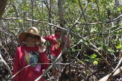 Angeles Migliore and Shruti Ajit from W4B visiting the Mangrove in Chomes