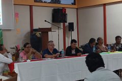 Panel on Advance, obstacles and challenges in small scale artisanal fisheries in the Southern Caribbean